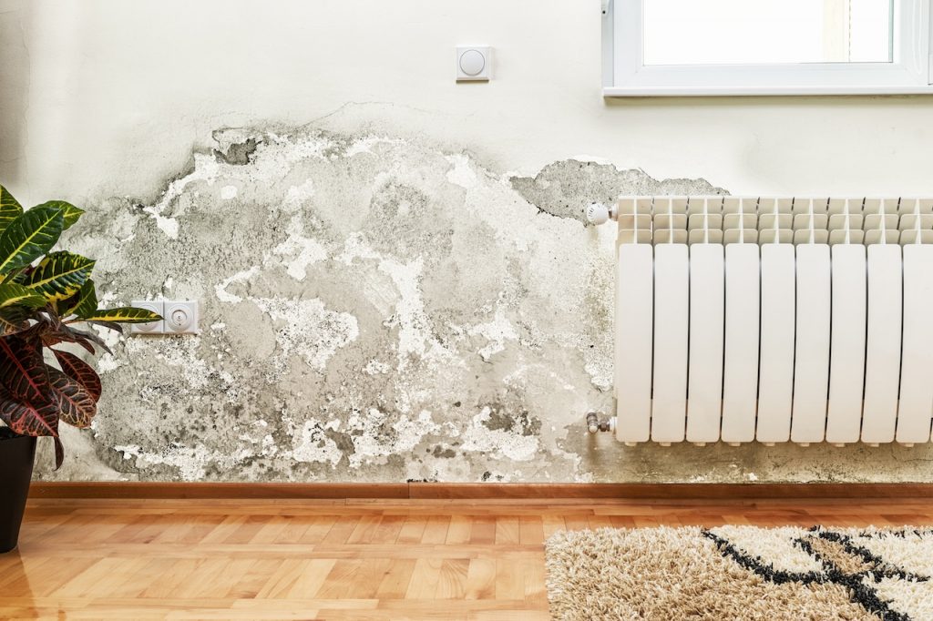 how-to-detect-water-leaks-early