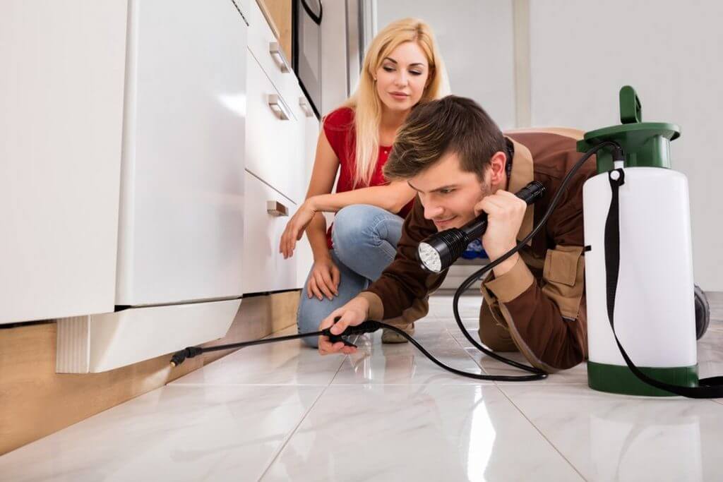 why-is-professional-pest-control-more-effective